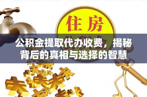 三穗公积金提取代办收费，揭秘背后的真相与选择的智慧