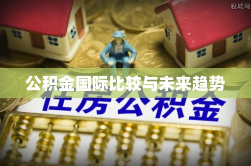 三穗公积金国际比较与未来趋势
