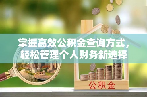 三穗掌握高效公积金查询方式，轻松管理个人财务新选择